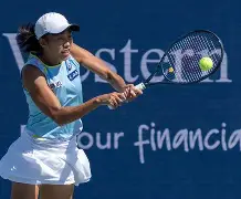 28圈娱乐-Faker巅峰对决，大坂直美与30激战加拿大队分钟，连败胜负难料！的简单介绍